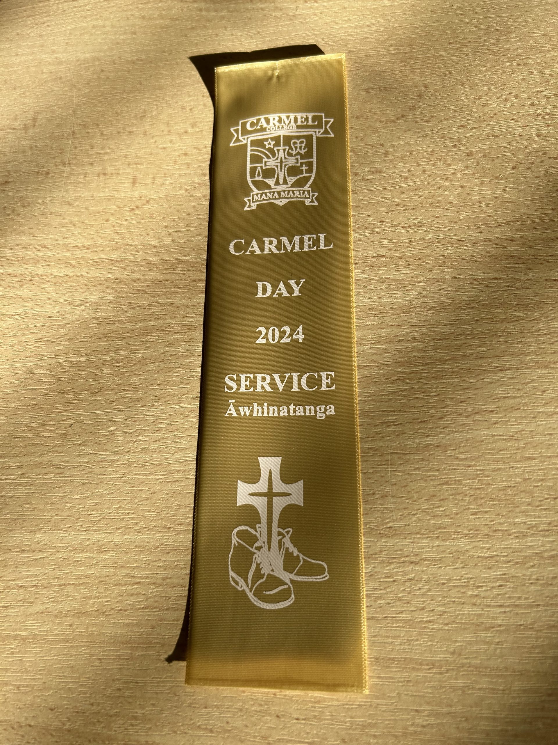 Read more about the article Carmel Day Mercy Awards 2024