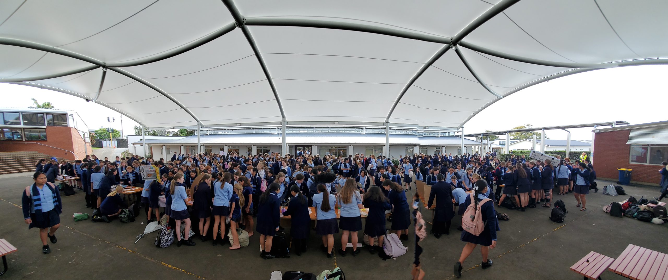 Read more about the article Year 10 Market Day